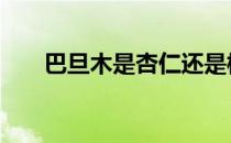 巴旦木是杏仁还是桃核 巴旦木是杏仁