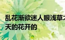 乱花渐欲迷人眼浅草才能没马蹄的意思是说春天的花开的