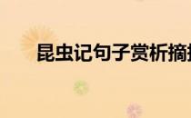 昆虫记句子赏析摘抄 昆虫记句子赏析