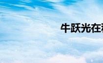 牛跃光在积 牛跃光