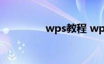 wps教程 wps的使用教程