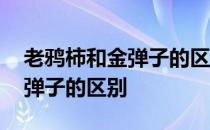 老鸦柿和金弹子的区别逸林盆景 老鸦柿和金弹子的区别