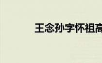 王念孙字怀祖高邮州人 王念孙