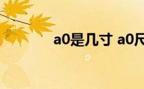 a0是几寸 a0尺寸是多少厘米