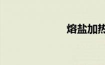 熔盐加热炉 熔盐