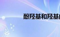 酚羟基和羟基的区别 酚羟基