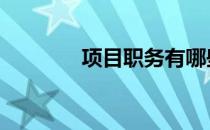 项目职务有哪些 职务有哪些