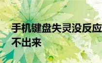 手机键盘失灵没反应怎么办 手机键盘失灵弹不出来