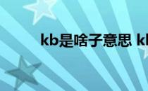 kb是啥子意思 kbg20是什么意思