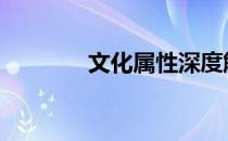 文化属性深度解析 文化属性