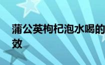 蒲公英枸杞泡水喝的作用 蒲公英枸杞泡水功效