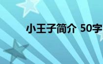 小王子简介 50字 小王子简介50字