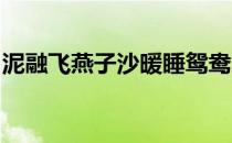 泥融飞燕子沙暖睡鸳鸯的意思是什么修辞手法