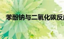 苯酚钠与二氧化碳反应 钠与二氧化碳反应