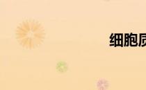 细胞质基质