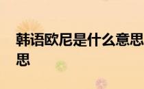 韩语欧尼是什么意思中文 韩语欧尼是什么意思