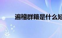 遍稽群籍是什么短语类型 遍稽群籍