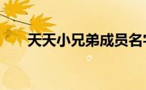 天天小兄弟成员名字 天天小兄弟成员