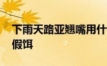 下雨天路亚翘嘴用什么假饵 路亚翘嘴用什么假饵