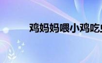 鸡妈妈喂小鸡吃虫子 小鸡吃虫子