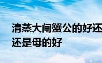 清蒸大闸蟹公的好还是母的好 大闸蟹公的好还是母的好