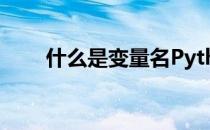 什么是变量名Python 什么是变量名
