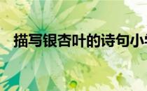描写银杏叶的诗句小学 描写银杏叶的诗句