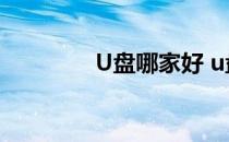 U盘哪家好 u盘有哪些品牌