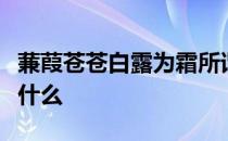 蒹葭苍苍白露为霜所谓伊人在水一方下一句是什么