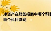 净资产在财务报表中哪个科目体现负债 净资产在财务报表中哪个科目体现