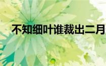 不知细叶谁裁出二月春风似剪刀是什么句