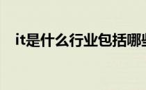 it是什么行业包括哪些 视频 it是什么行业