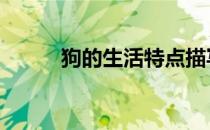 狗的生活特点描写 狗的生活习性