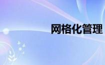 网格化管理 网格化治理