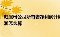 归属母公司所有者净利润计算公式 归属母公司所有者的净利润怎么算