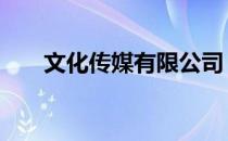 文化传媒有限公司 文化传媒公司简介