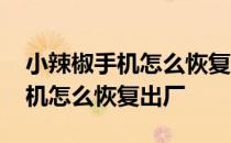 小辣椒手机怎么恢复出厂设置视频 小辣椒手机怎么恢复出厂