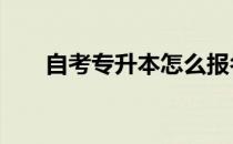 自考专升本怎么报名 专升本怎么报名