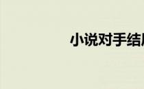 小说对手结局 小说对手