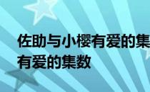 佐助与小樱有爱的集数是哪一集 佐助与小樱有爱的集数