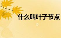 什么叫叶子节点 什么是叶子节点