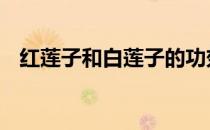 红莲子和白莲子的功效有什么区别 红莲子