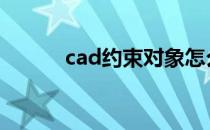 cad约束对象怎么解除 cad约束