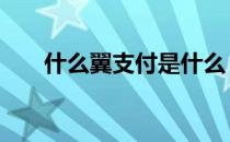 什么翼支付是什么 请问翼支付是什么