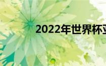 2022年世界杯亚洲有几个名额