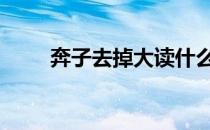 奔子去掉大读什么 奔去掉大念什么