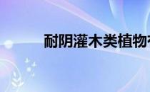 耐阴灌木类植物有哪些 耐阴灌木