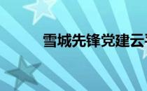 雪城先锋党建云平台 雪城先锋网