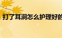 打了耳洞怎么护理好的快 打了耳洞怎么护理