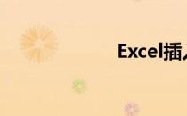 Excel插入文件表